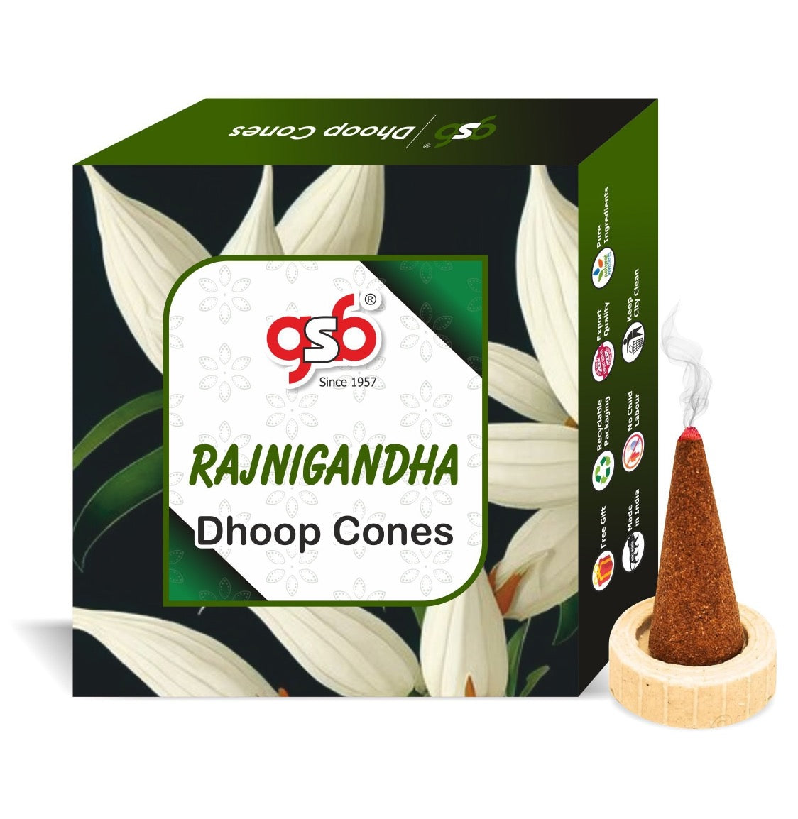 GSB Rajnigandha Premium Dhoop Cones with Stand Holder in Box | Dhoop Cone | No Charcoal | No Bamboo