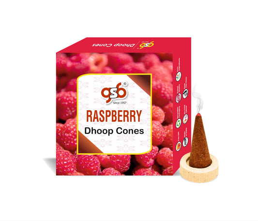 GSB Raspberry Premium Dhoop Cones with Stand Holder in Box | Dhoop Cones | No Charcoal | No Bamboo
