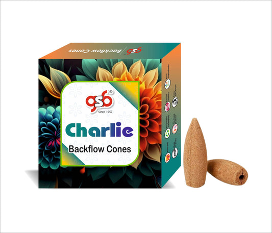 GSB Charlie Premium Backflow Cones | Best For Smoke Fountain | Backflow Cone | No Charcoal | No Bamboo