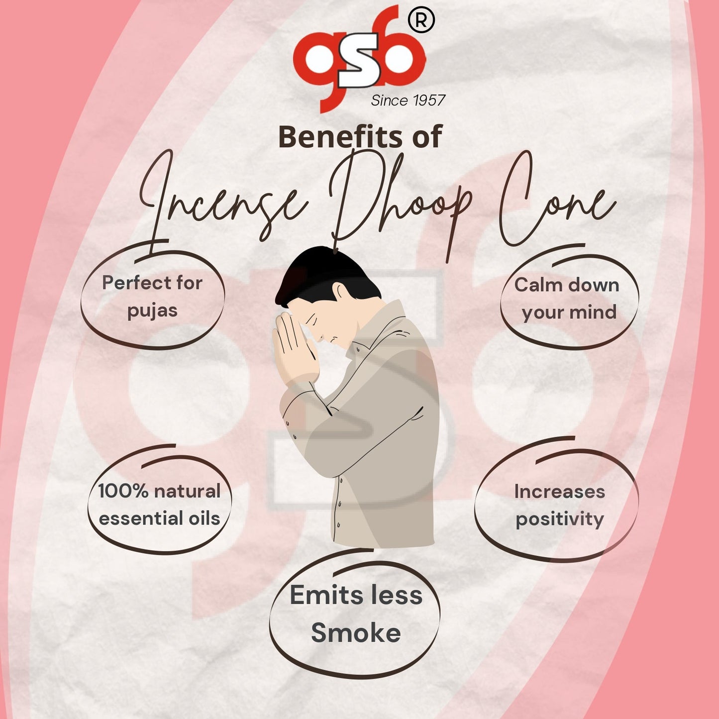 GSB Raspberry Premium Dhoop Cones with Stand Holder in Box | Dhoop Cones | No Charcoal | No Bamboo