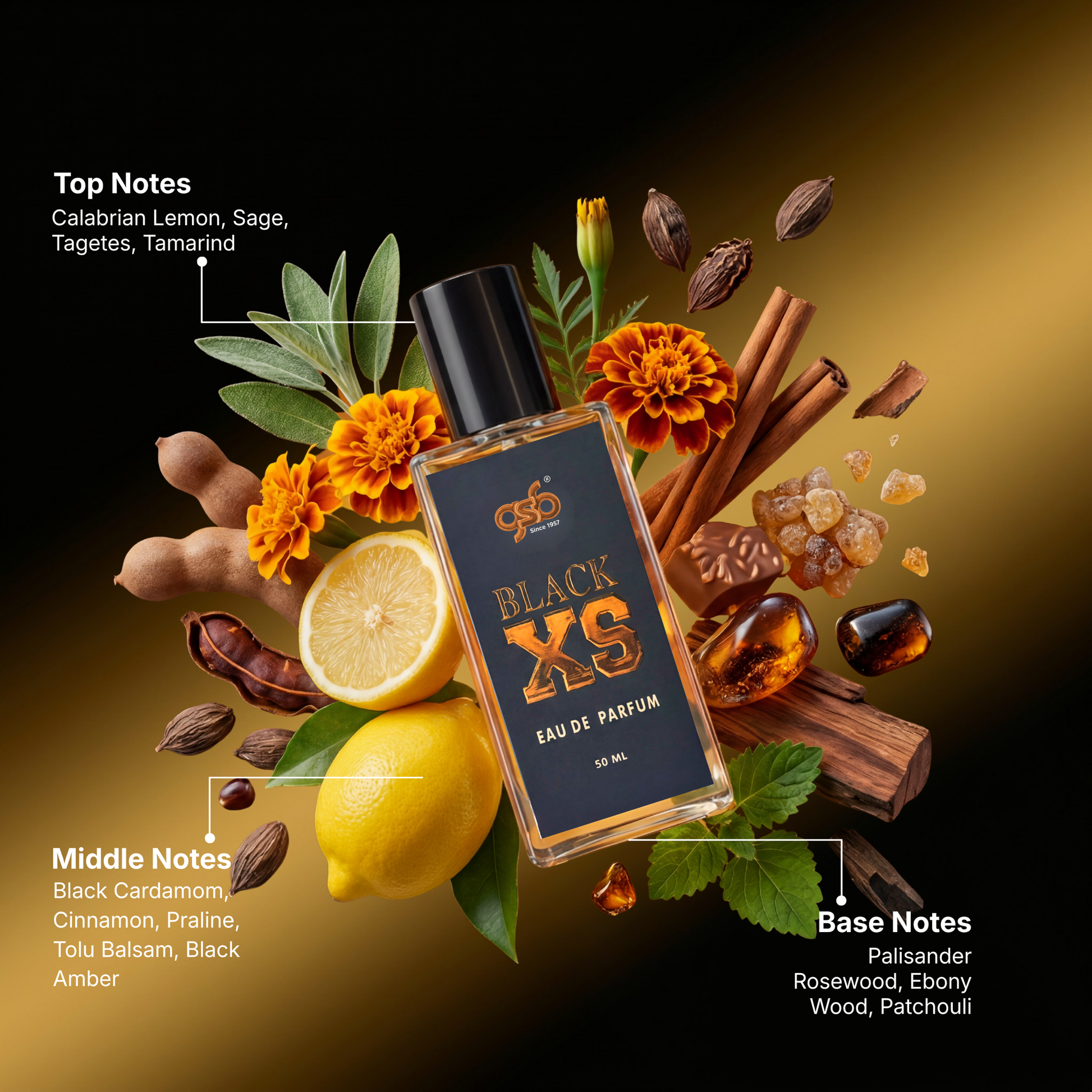 GSB Black XS Eau De Parfum Inspired From Black Xs Pcao Rbbane - 2