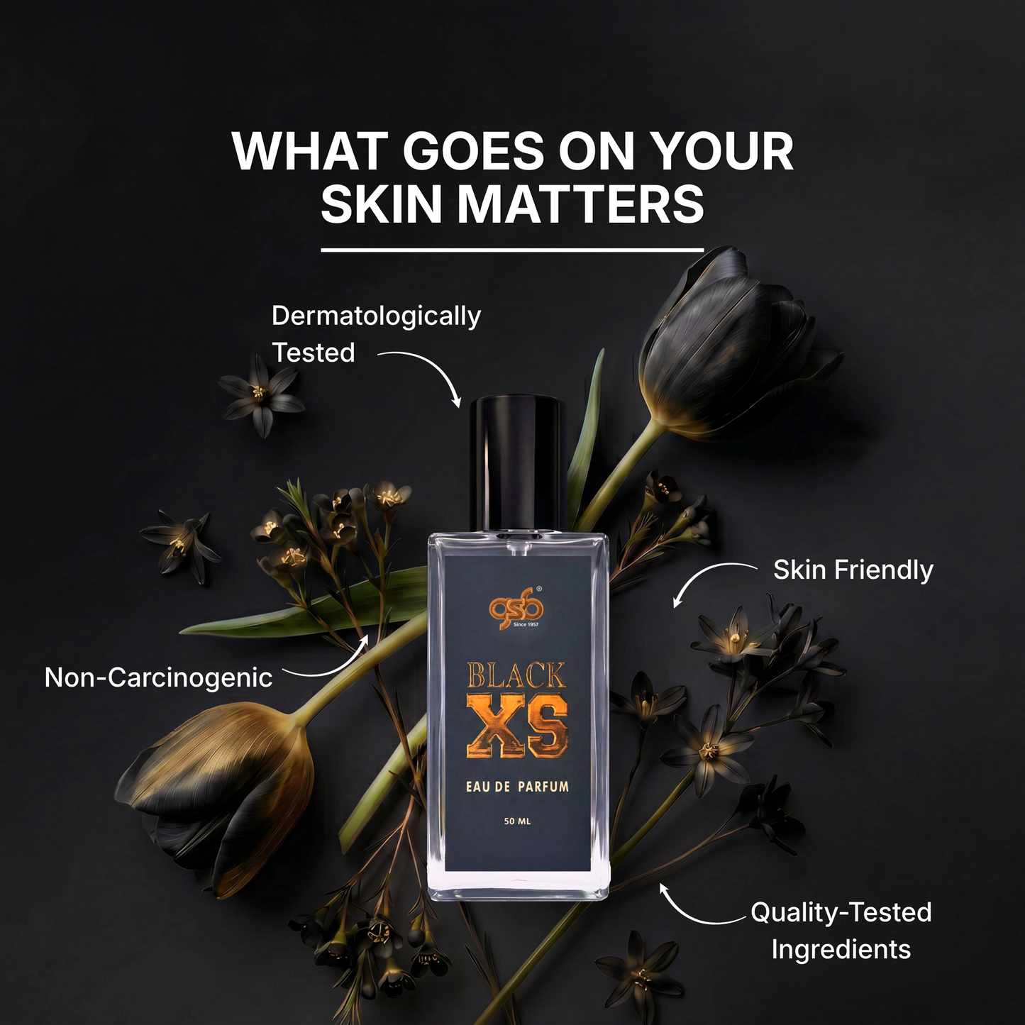 GSB Black XS Eau De Parfum Inspired From Black Xs Pcao Rbbane - 6