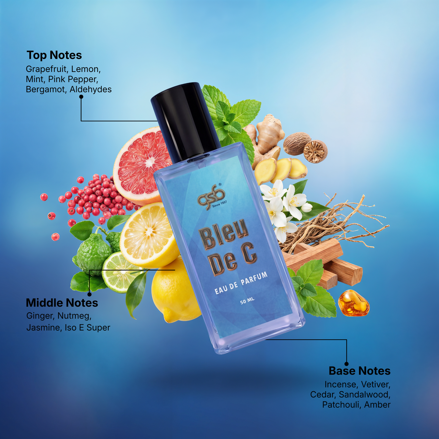 GSB Bleu De C Eau De Parfum Inspired From Bleu De Chneal - 2