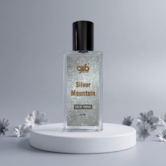 Silver Mountain