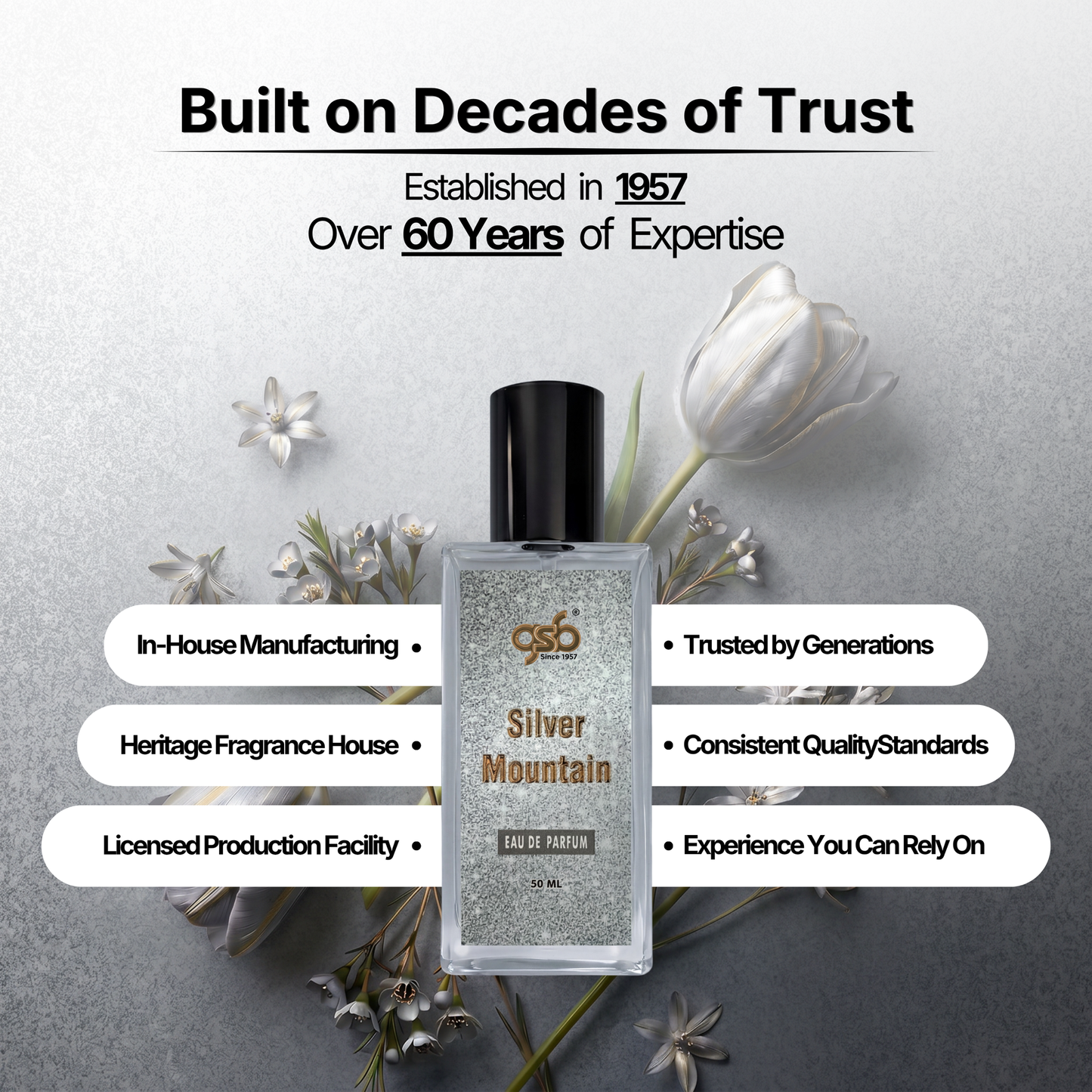 GSB Silver Mountain Eau De Parfum Inspired From Greed Silver Mountain - 5